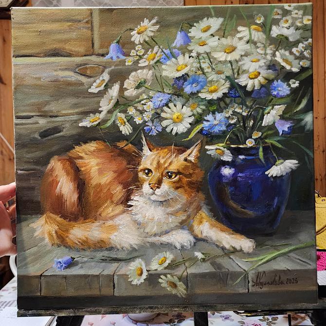 Кот